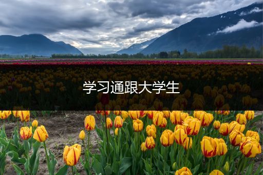 学习通跟大学生