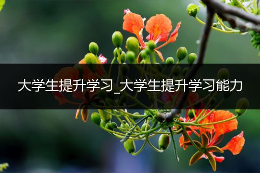 大学生提升学习_大学生提升学习能力