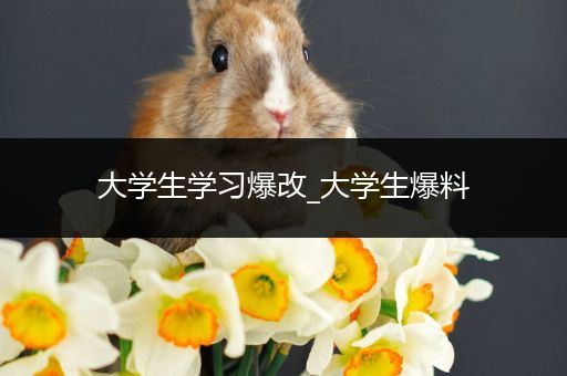 大学生学习爆改_大学生爆料
