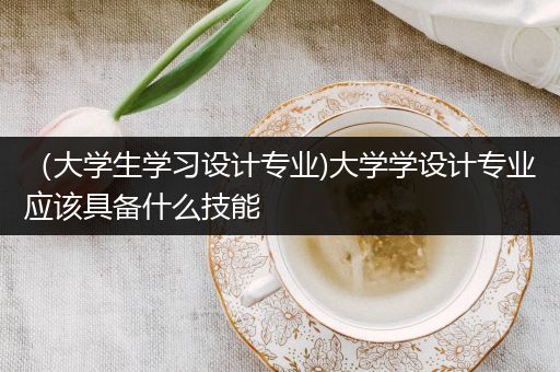 （大学生学习设计专业)大学学设计专业应该具备什么技能