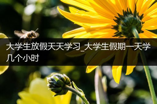 大学生放假天天学习_大学生假期一天学几个小时