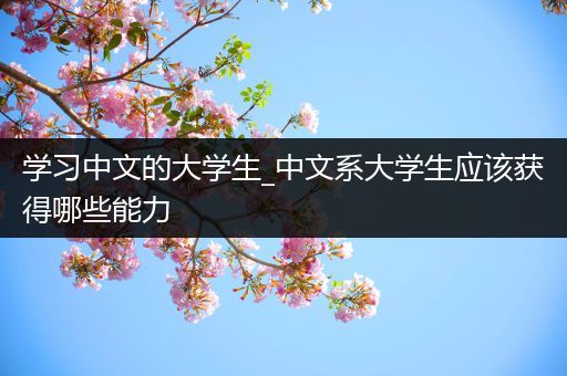 学习中文的大学生_中文系大学生应该获得哪些能力