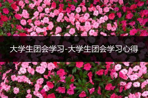 大学生团会学习-大学生团会学习心得