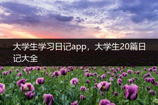 大学生学习日记app，大学生20篇日记大全