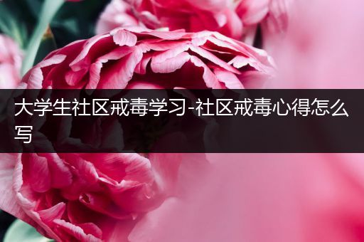 大学生社区戒毒学习-社区戒毒心得怎么写