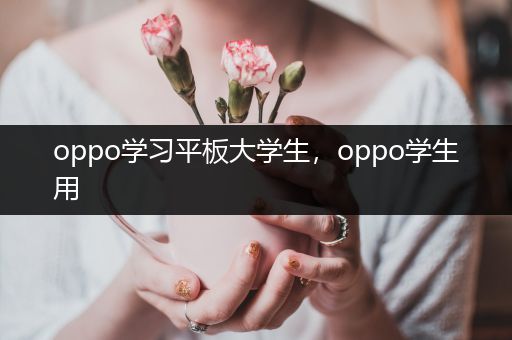 oppo学习平板大学生，oppo学生用