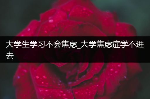 大学生学习不会焦虑_大学焦虑症学不进去