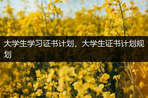 大学生学习证书计划，大学生证书计划规划