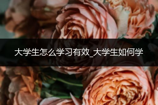 大学生怎么学习有效_大学生如何学