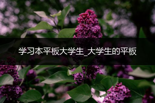 学习本平板大学生_大学生的平板
