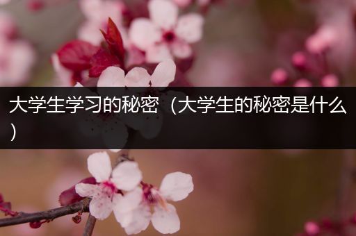 大学生学习的秘密（大学生的秘密是什么）
