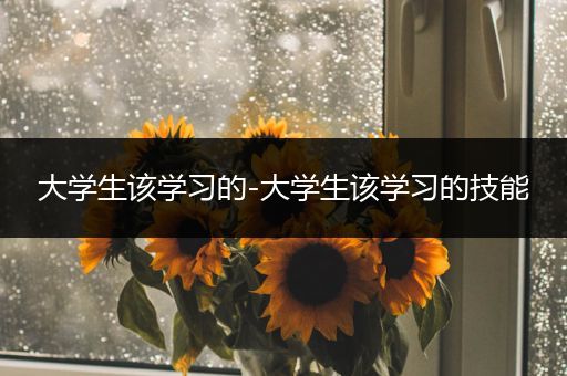 大学生该学习的-大学生该学习的技能
