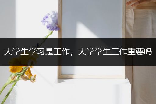 大学生学习是工作，大学学生工作重要吗