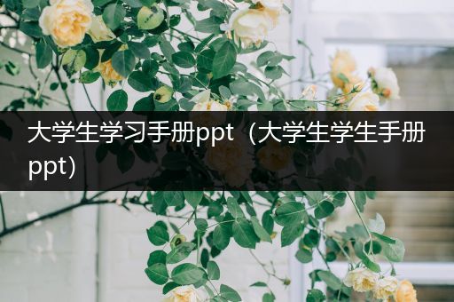 大学生学习手册ppt（大学生学生手册ppt）