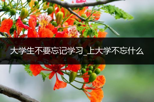 大学生不要忘记学习_上大学不忘什么