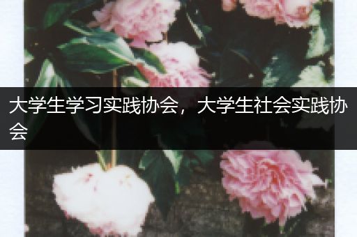 大学生学习实践协会，大学生社会实践协会