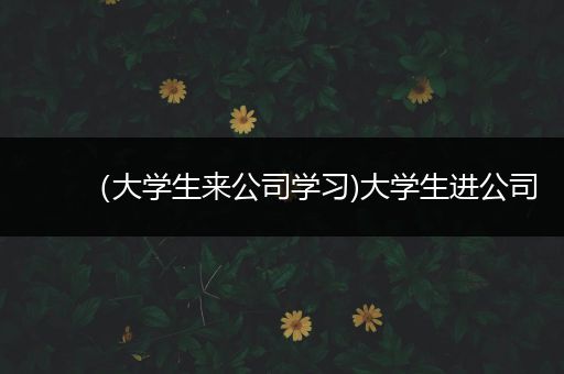（大学生来公司学习)大学生进公司