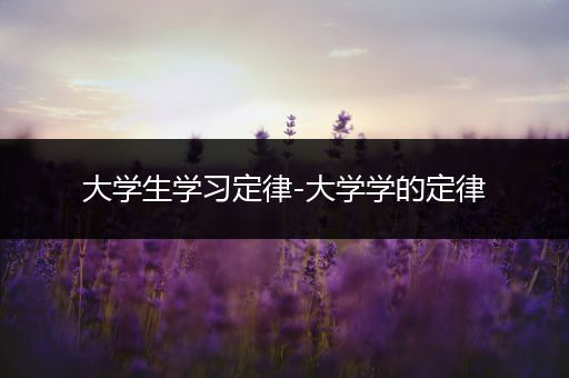 大学生学习定律-大学学的定律