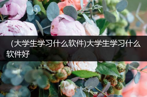 （大学生学习什么软件)大学生学习什么软件好