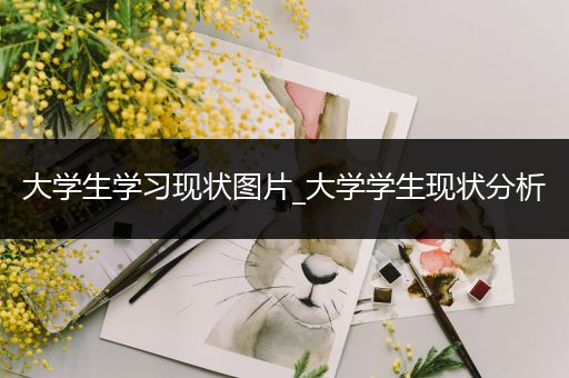 大学生学习现状图片_大学学生现状分析