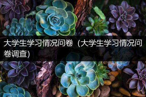 大学生学习情况问卷（大学生学习情况问卷调查）