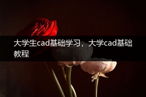 大学生cad基础学习，大学cad基础教程