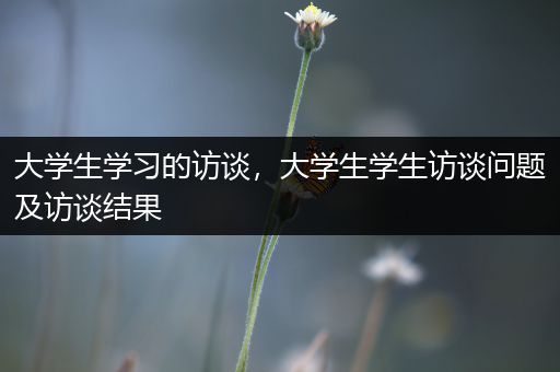 大学生学习的访谈，大学生学生访谈问题及访谈结果