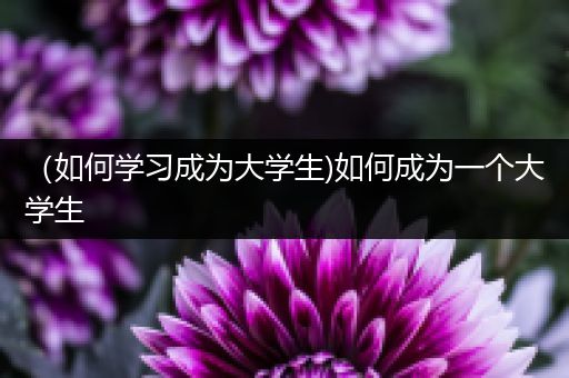 （如何学习成为大学生)如何成为一个大学生