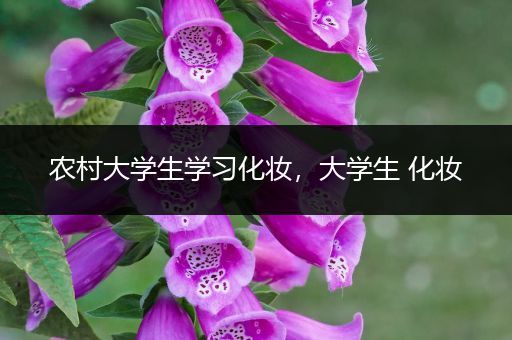 农村大学生学习化妆，大学生 化妆