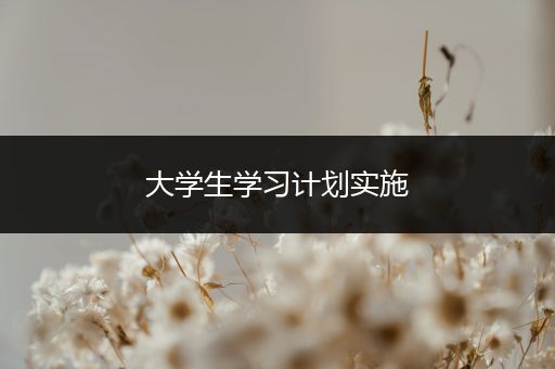 大学生学习计划实施