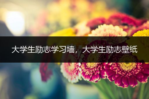 大学生励志学习墙，大学生励志壁纸