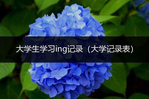 大学生学习ing记录（大学记录表）
