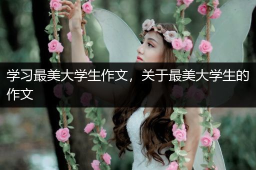 学习最美大学生作文，关于最美大学生的作文