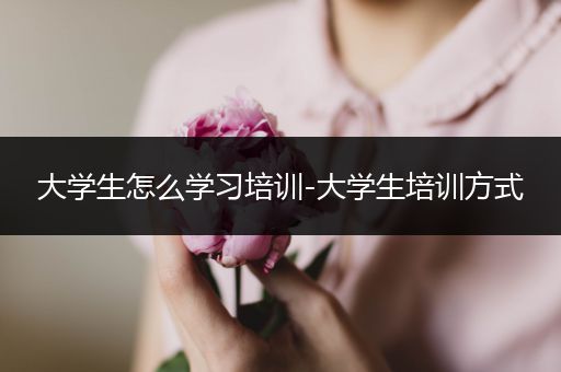 大学生怎么学习培训-大学生培训方式