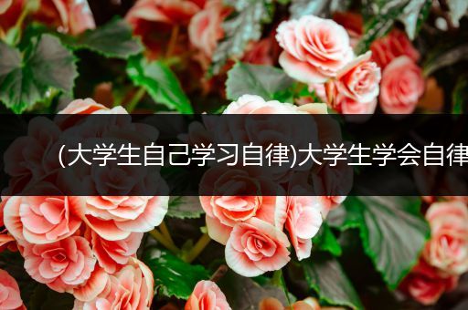 （大学生自己学习自律)大学生学会自律