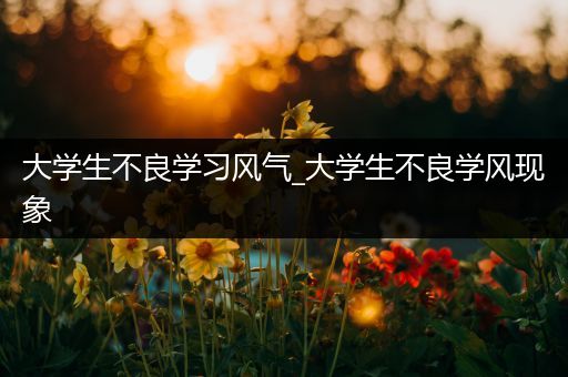 大学生不良学习风气_大学生不良学风现象