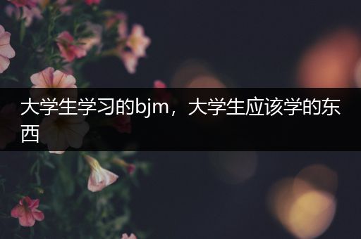 大学生学习的bjm，大学生应该学的东西
