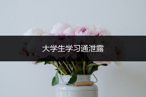 大学生学习通泄露