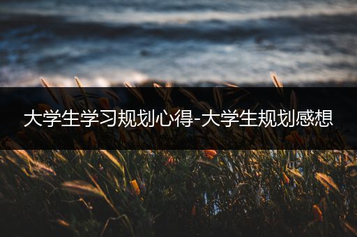 大学生学习规划心得-大学生规划感想