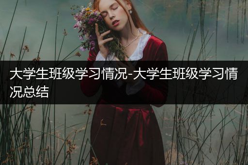 大学生班级学习情况-大学生班级学习情况总结