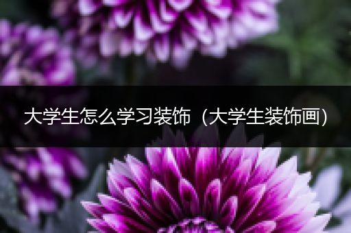大学生怎么学习装饰（大学生装饰画）