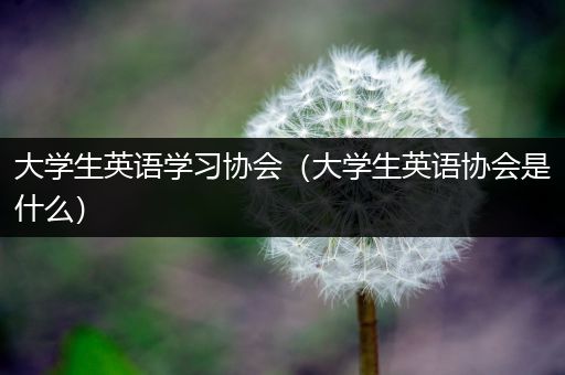 大学生英语学习协会（大学生英语协会是什么）