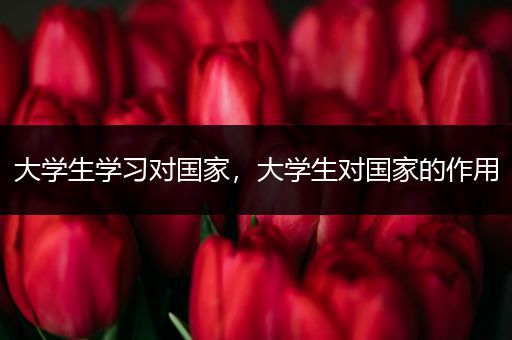大学生学习对国家，大学生对国家的作用
