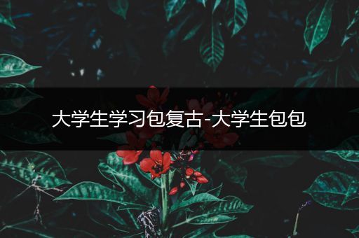 大学生学习包复古-大学生包包