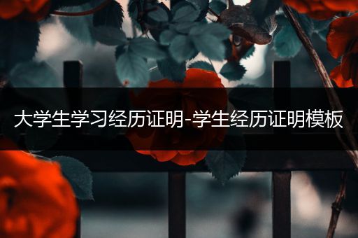 大学生学习经历证明-学生经历证明模板