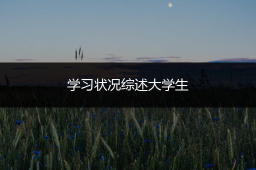 学习状况综述大学生