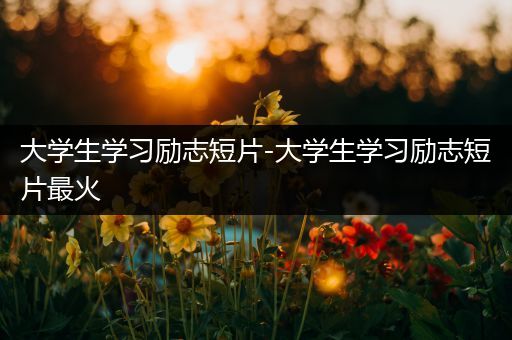 大学生学习励志短片-大学生学习励志短片最火