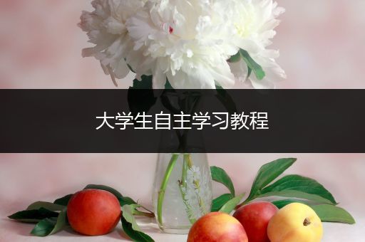 大学生自主学习教程