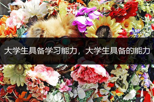 大学生具备学习能力，大学生具备的能力