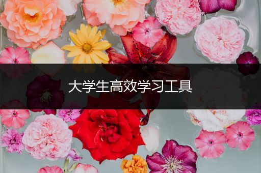 大学生高效学习工具